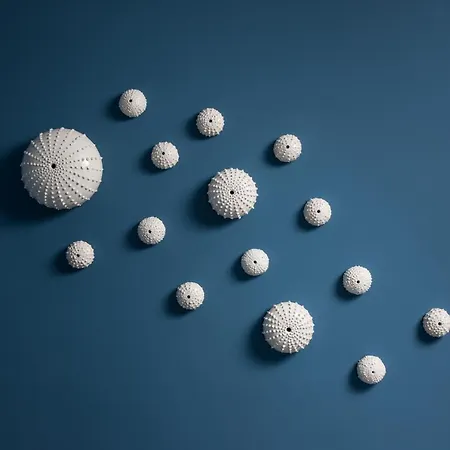 Don Giovanni Nocleg ze śniadaniem Maiori